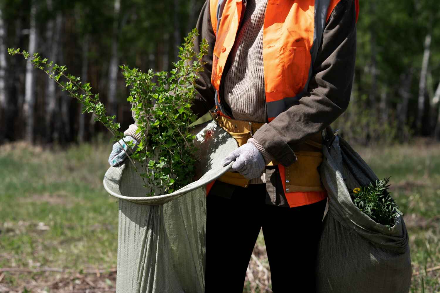  White City, FL TreeGuard Tree Service Pros